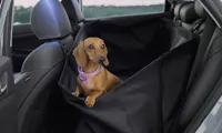 Rear Seat Pet Cover