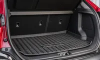 Cargo liner tray